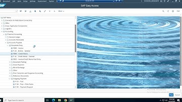 SAP S4 HANA Vendor Credit Memo J6