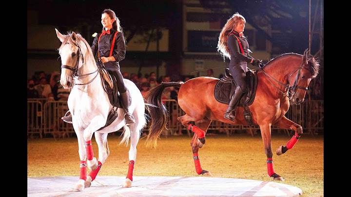 Numéro de claquettes mettant en scène 2 chevaux et 3 claquettistes !