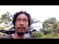 Galau... SP Walet tidak respon? simak penjelasannya