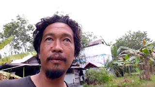 Download lagu Galau SP Walet tidak respon simak penjelasannya Galau SP Walet tidak respon simak penjelasannya