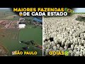 MAIOR FAZENDA DE CADA ESTADO BRASILEIRO - INCRÍVEL!