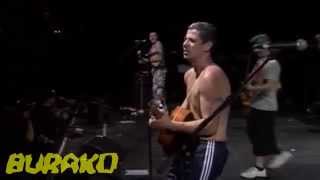 Manu Chao - Live Coachella 2007 - Por donde saldra el sol