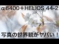 【α6400＋ヘリオス44-2】誰でもオシャレに撮れるレンズ