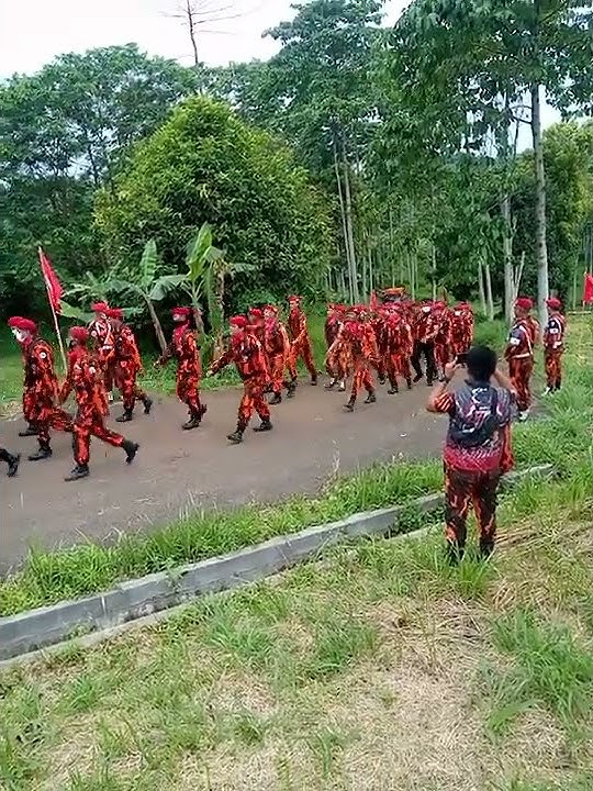 Diklat Bela Negara Dan Militer Dasar, ormas pemuda Pancasila.