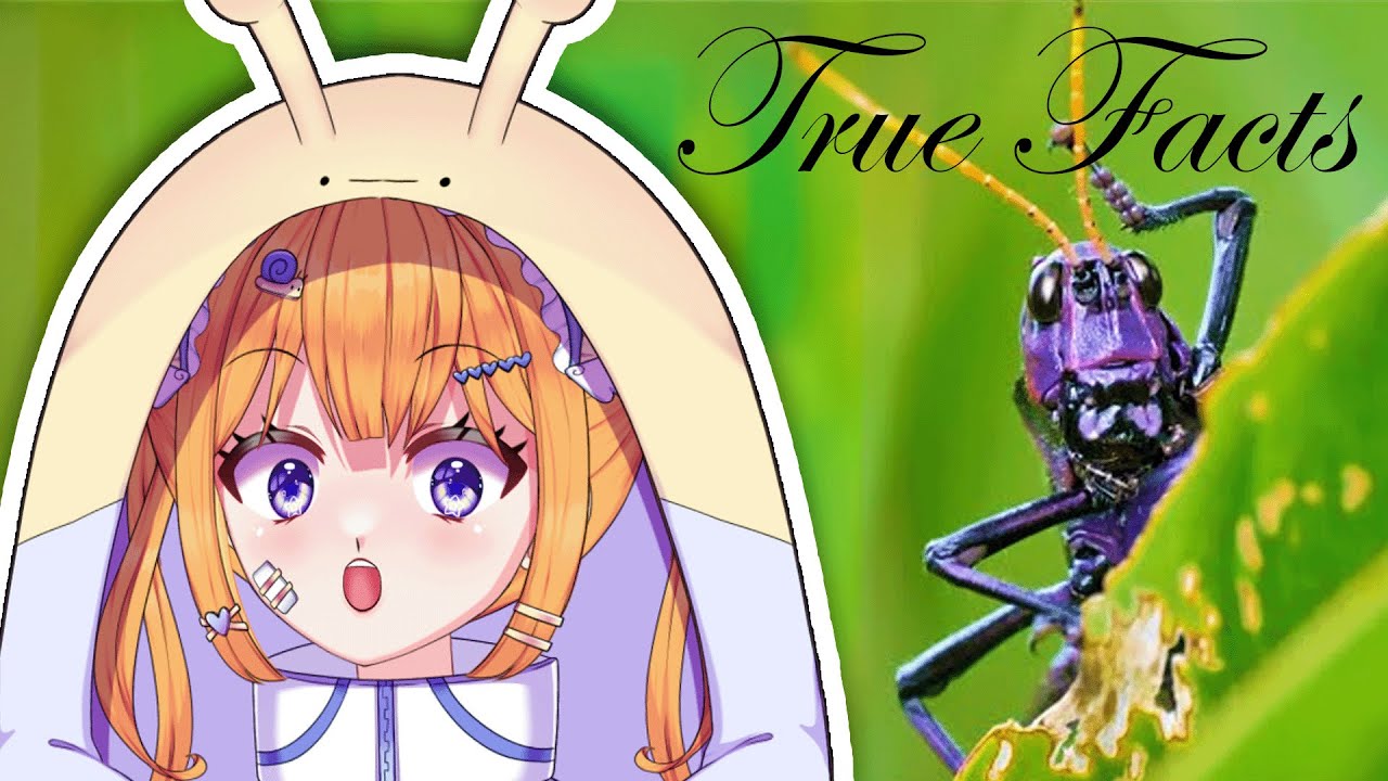 TRUE FACTS is BACK! Today about CRICKETS! | Snail Vtuber reacts to Ze Frank