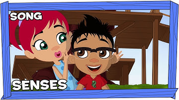 Darwin and Newts Song | Senses