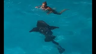 Woman ‘bumped’ by 8-foot shark after swimming into its path