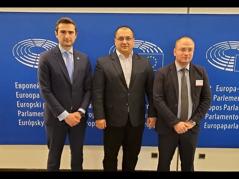 ევროპარლამენტარის წერილი საქართველოზე
