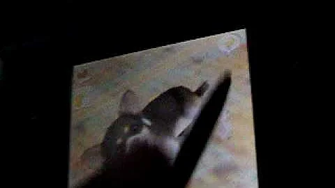 Nintendogs Help and Advice: Basic Trick: Roll Over 1