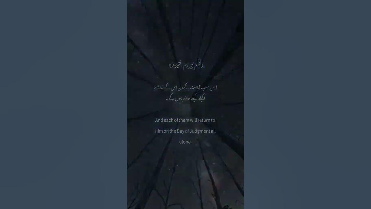 Quran Translate In Urdu Short 4k Full Screen Whatsapp Status 4M quran-translate-in-urdu-short-4k-full-screen-whatsapp-status-4m