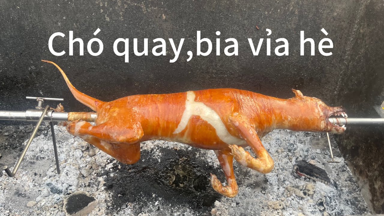 Quán bia vỉa hè với chó quay cả con. - YouTube