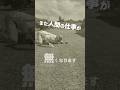 AIロボが人類を超えた!最新の園芸事情かすごかった