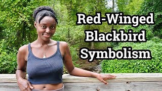 Red Winged Blackbird Spirit Animal Totem