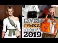 МОДНЫЕ СУМКИ ВЕСНА-ЛЕТО 2019 | НЕДЕЛЯ ТРЕНДОВ