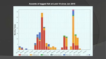 NFF2017: 19 - Monitoring fish movement with PIT tags