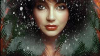 Kate Bush - December Will Be Magic Again