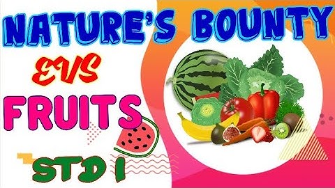 Std 1/Environmental Studies/ Nature