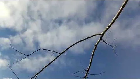 2018-2019 Deer Season Highlights: Tactacam Shots!