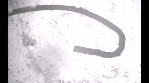 A Flexible Magnetic Soft Continuum Robot for Manipulation and Measurement at Micro Scale: Video 1