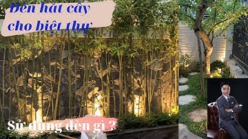 Cách sử dụng đèn chiếu cây 12/24v nên sử dụng cho cảnh quan sân vườn.