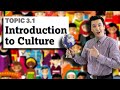 Introduction to Culture and Its Dynamics