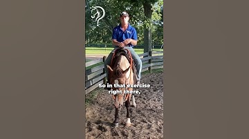 Quick Tips On Fixing Crossfiring While Riding!! Part 9! | The Horse Guru - Michael Gascon