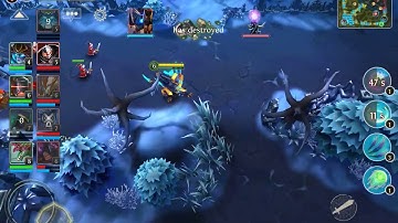 HEROES OF ORDER AND CHAOS (ACRIDIX)