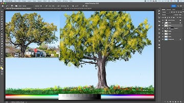 TREE - PHOTOSHOP TECHNIQUE