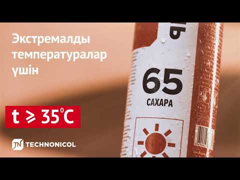 65 SAHARA (САХАРА) - Пена монтажная ТЕХНОНИКОЛЬ