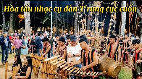 Hòa tấu nhạc cụ đàn T