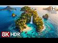 Tropical Beach 8K HDR 🌴 Relaxing Ocean Nature Film