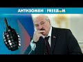 Пропагандисты говорят о поражении России. Что задумал Лукашенко? | Антизомби