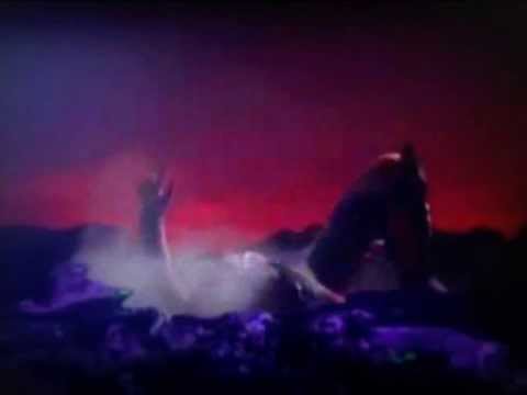 增田有華 Stargazer