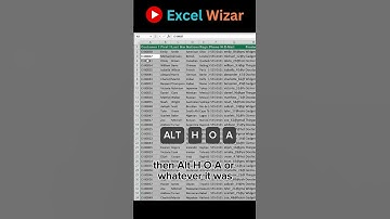 Master Excel Cleaning Shortcuts: Quick & Efficient Data Organization #productivityhacks #data