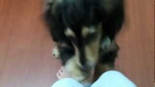 20120405 拜託!! 讓我上去媽咪Part2
