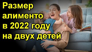 Размер алиментов 2022 году на двух детей