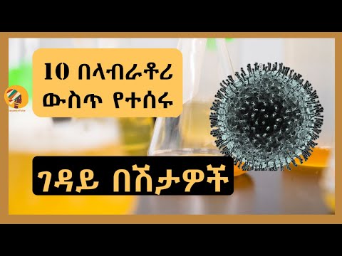 ቪዲዮ: ውሾች ከባሌ አርቲስቶች ጋር ዳንስ ዳንስ - እርስዎን ፈገግ የሚያደርግ የጋራ የፎቶ ክፍለ ጊዜ