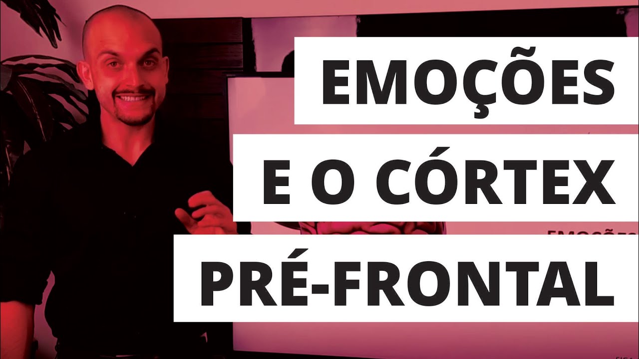 Emoções e o Córtex Pré-Frontal | Professor Matheus Milan