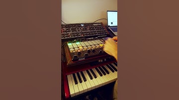 A short pattern on my prophet Rev2