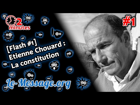 Etienne Chouard révèle les secrets de la Constitution
