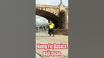 Kung Fu Basics Baji Quan #kungfu #health #martialarts