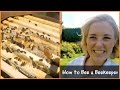 Whats inside a beehive? | Beekeeping with Maddie #2
