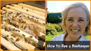 Whats inside a beehive? | Beekeeping with Maddie #2