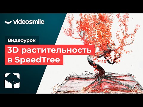 Создание 3D-растительности в программе SpeedTree