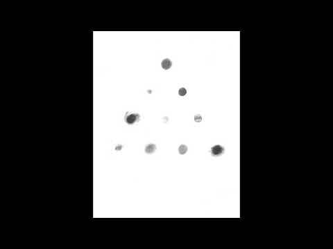 MIO Tetractys Study Rehearsal Recordings