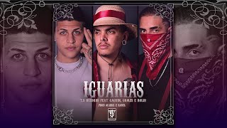 IGUARIAS (Gaguin, Gomes & Roldi) prod. Markx & Ravel