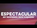 Sky Rompiendo, Rauw Alejandro - ESPECTACULAR (Letra/Lyrics)