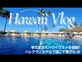 【ハワイvlog】結婚式前日の優雅な高級ホテルの過ごし方💍グルメを満喫✨《5泊7日新婚旅行 in ハレクラニホテル🏝️Hawaii trip Day1》