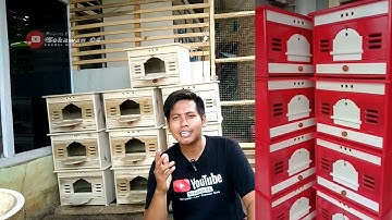 Review Pagupon Kece Polosan