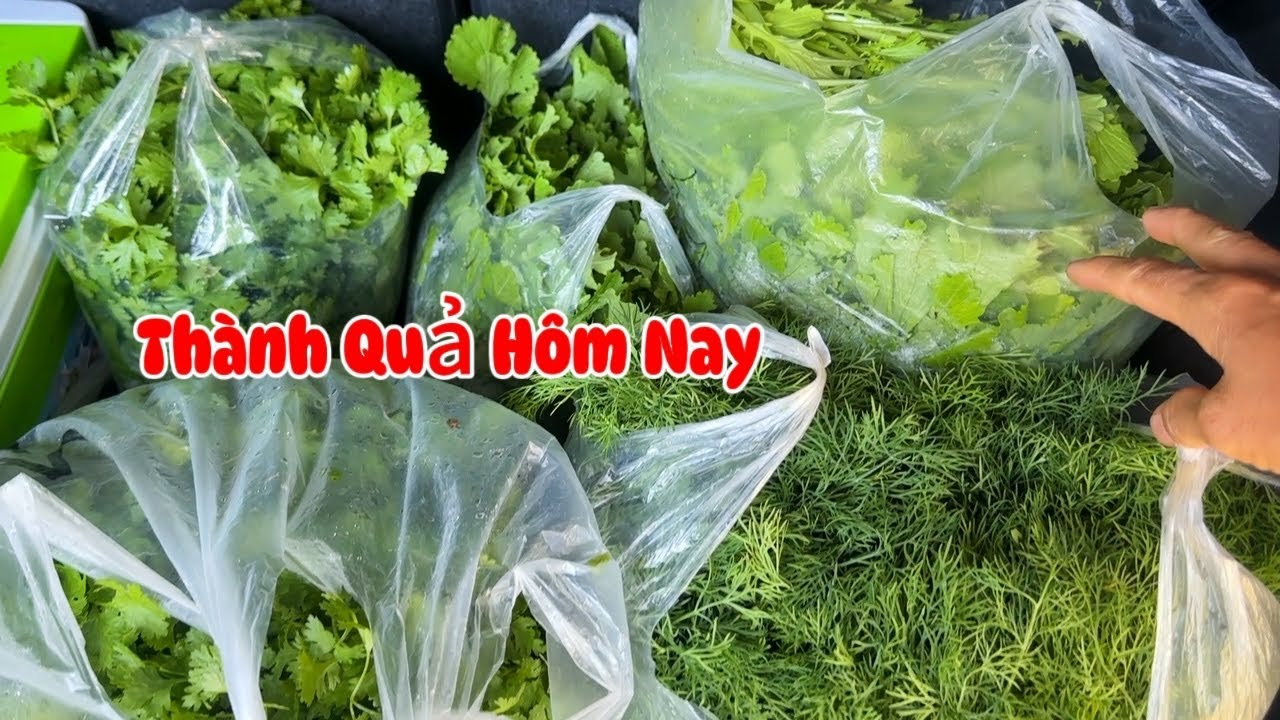 #560 Thành Quả Hôm Nay Mệt Nhưng Vẫn Cố Gắng 25 - 12 - 2025